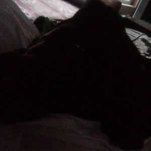 Meet your Posher, Tamara